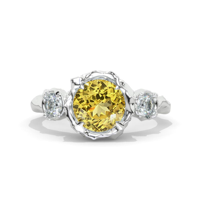 clio-https://clio.giliarto.com/ring/1/1336
