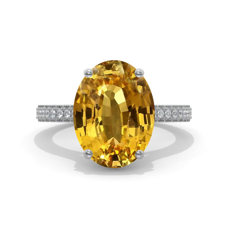 clio-https://clio.giliarto.com/ring/1/534_OV14x10
