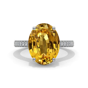 clio-https://clio.giliarto.com/ring/1/830
