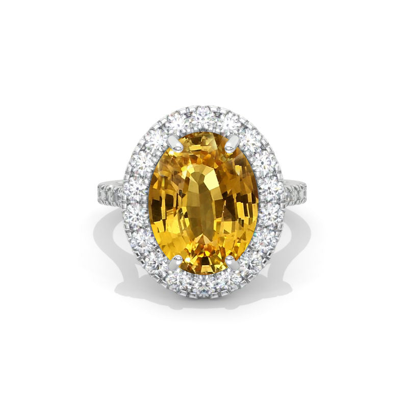clio-https://clio.giliarto.com/ring/1/807
