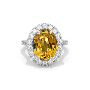 clio-https://clio.giliarto.com/ring/1/752
