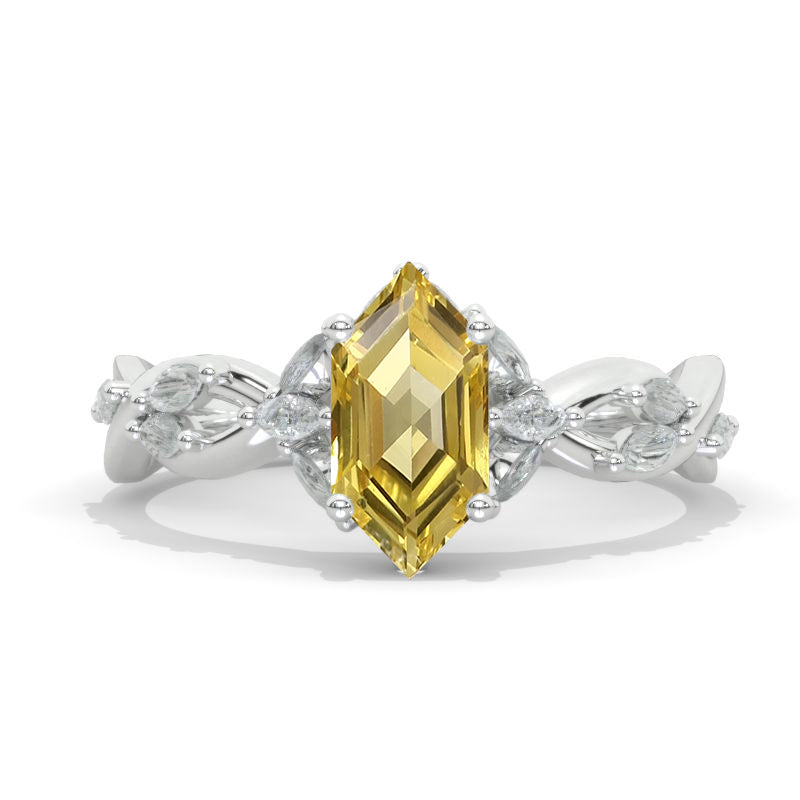 clio-https://clio.giliarto.com/ring/1/866
