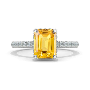 clio-https://clio.giliarto.com/ring/1/1170
