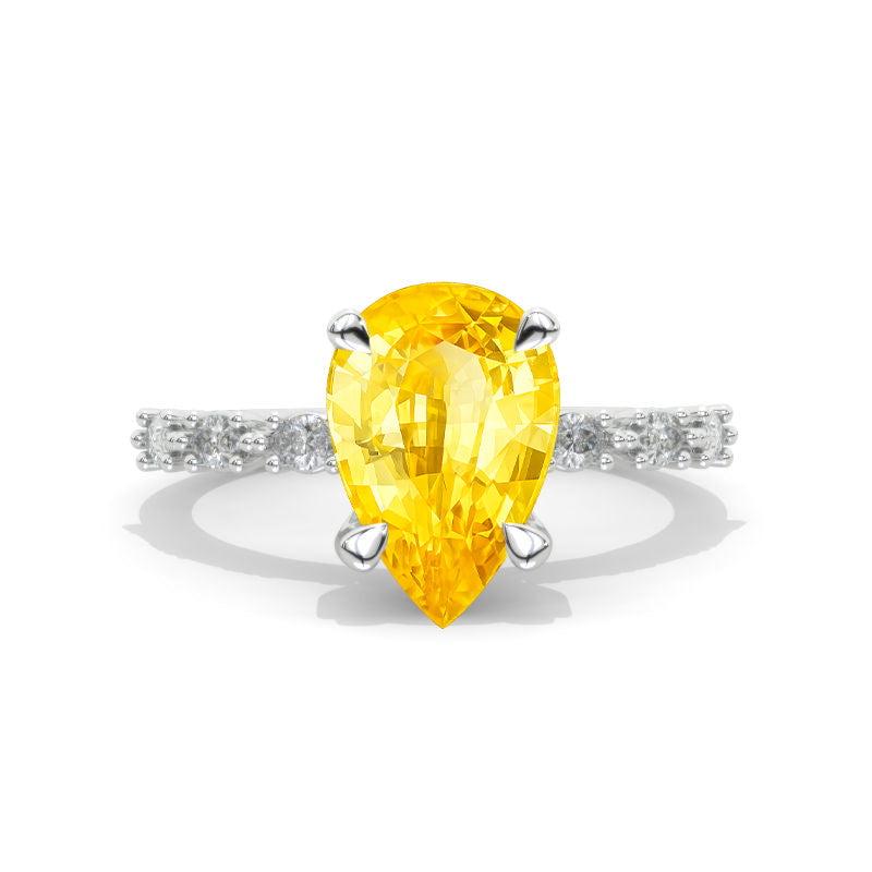 clio-https://clio.giliarto.com/ring/1/432

