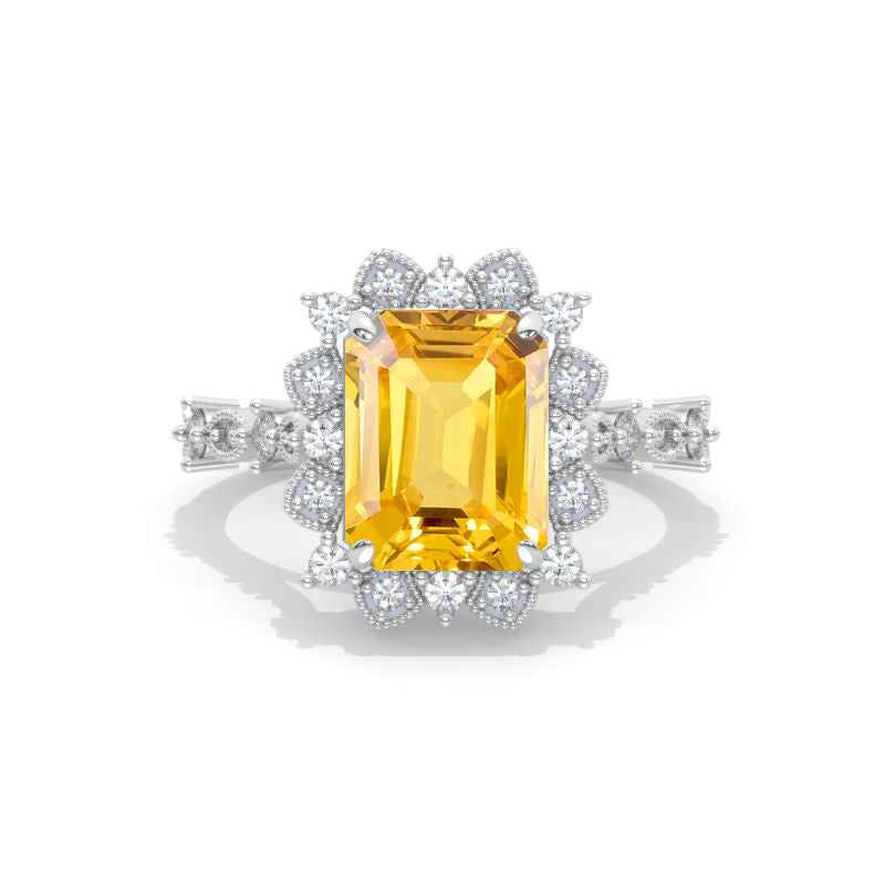 clio-https://clio.giliarto.com/ring/1/1340
