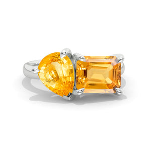 clio-https://clio.giliarto.com/ring/1/1041
