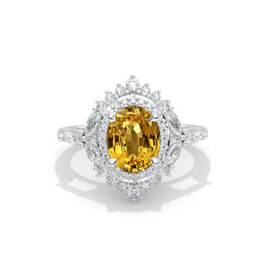clio-https://clio.giliarto.com/ring/1/x
