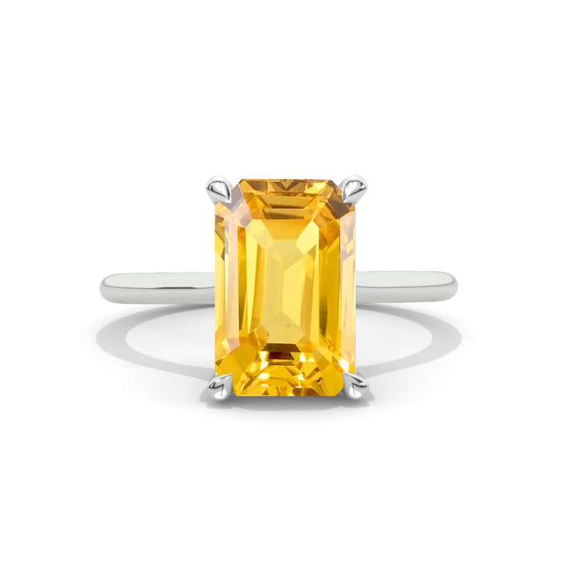 clio-https://clio.giliarto.com/ring/1/447_11x7P

