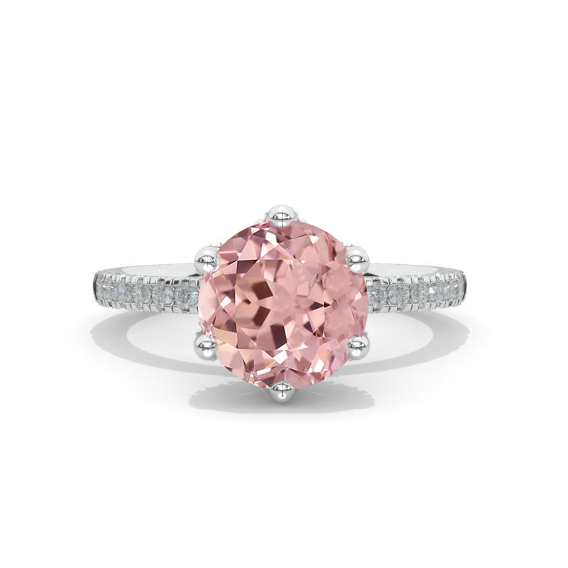 clio-https://clio.giliarto.com/ring/1/599
