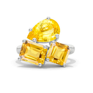 clio-https://clio.giliarto.com/ring/1/715
