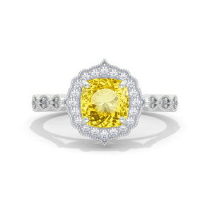 clio-https://clio.giliarto.com/ring/1/939
