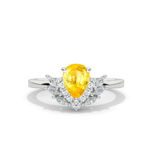 clio-https://clio.giliarto.com/ring/1/757
