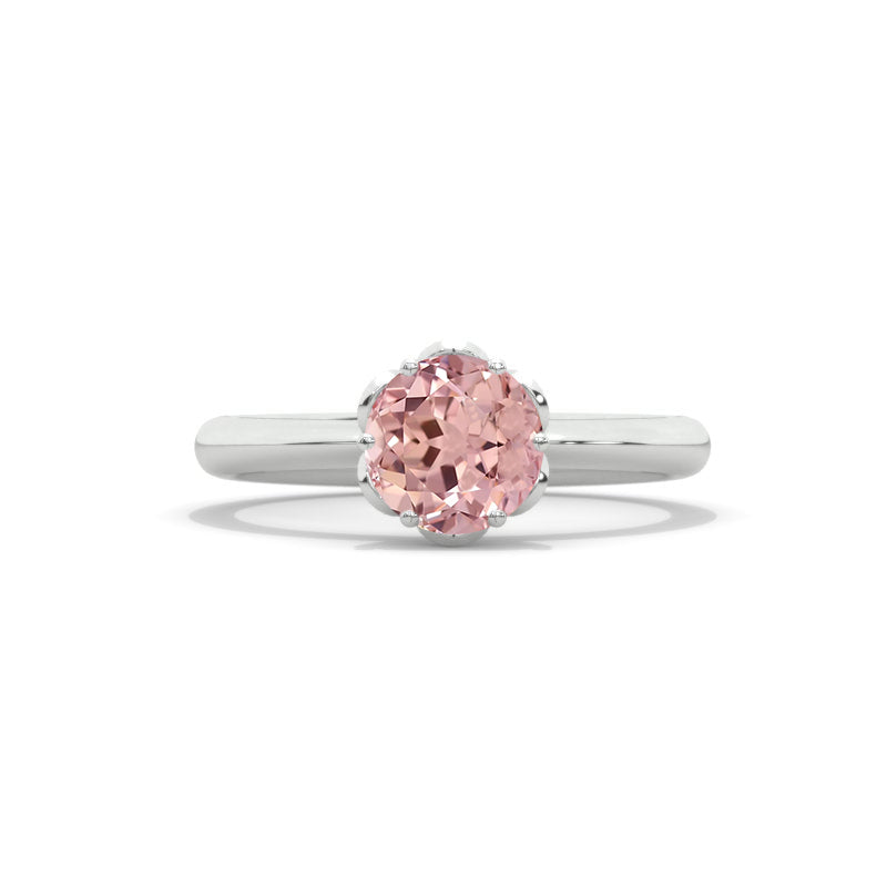 clio-https://clio.giliarto.com/ring/1/613
