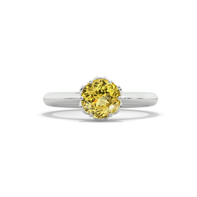clio-https://clio.giliarto.com/ring/1/613
