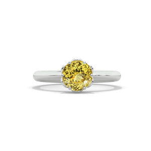clio-https://clio.giliarto.com/ring/1/153
