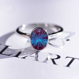 clio-https://clio.giliarto.com/ring/1/1215
