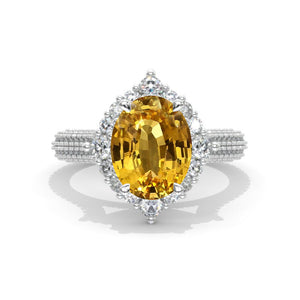 clio-https://clio.giliarto.com/ring/1/752
