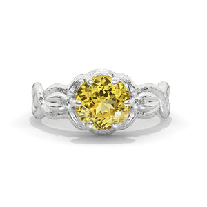 clio-https://clio.giliarto.com/ring/1/830

