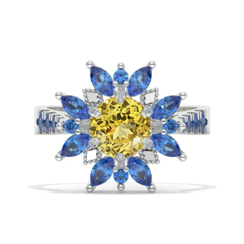 clio-https://clio.giliarto.com/ring/1/1131
