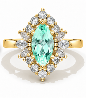 clio-https://clio.giliarto.com/ring/1/1256
