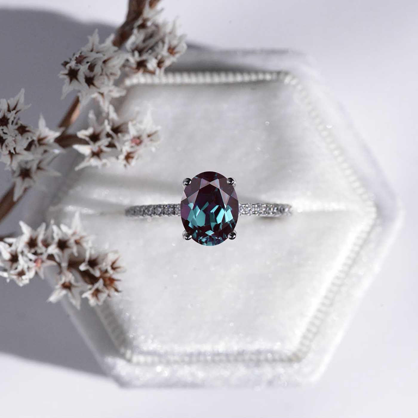 clio-https://clio.giliarto.com/ring/1/sd