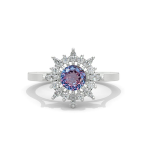 clio-https://clio.giliarto.com/ring/1/shr
