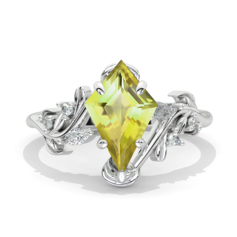 clio-https://clio.giliarto.com/ring/1/1401
