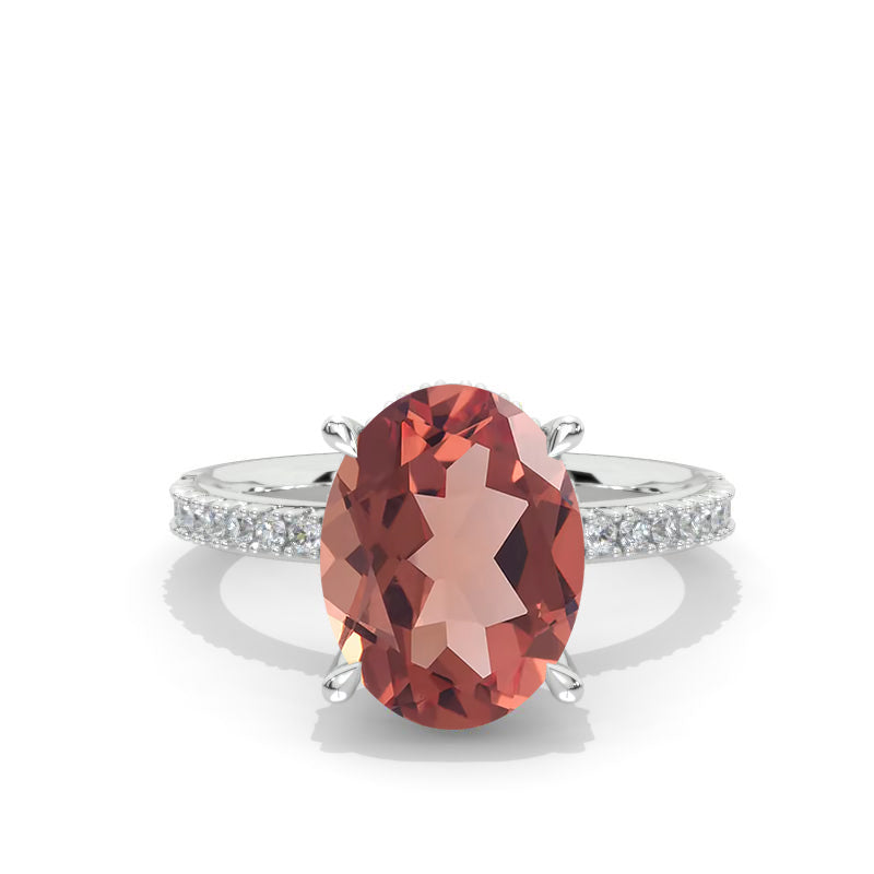 clio-https://clio.giliarto.com/ring/1/449
