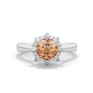 clio-https://clio.giliarto.com/ring/1/759