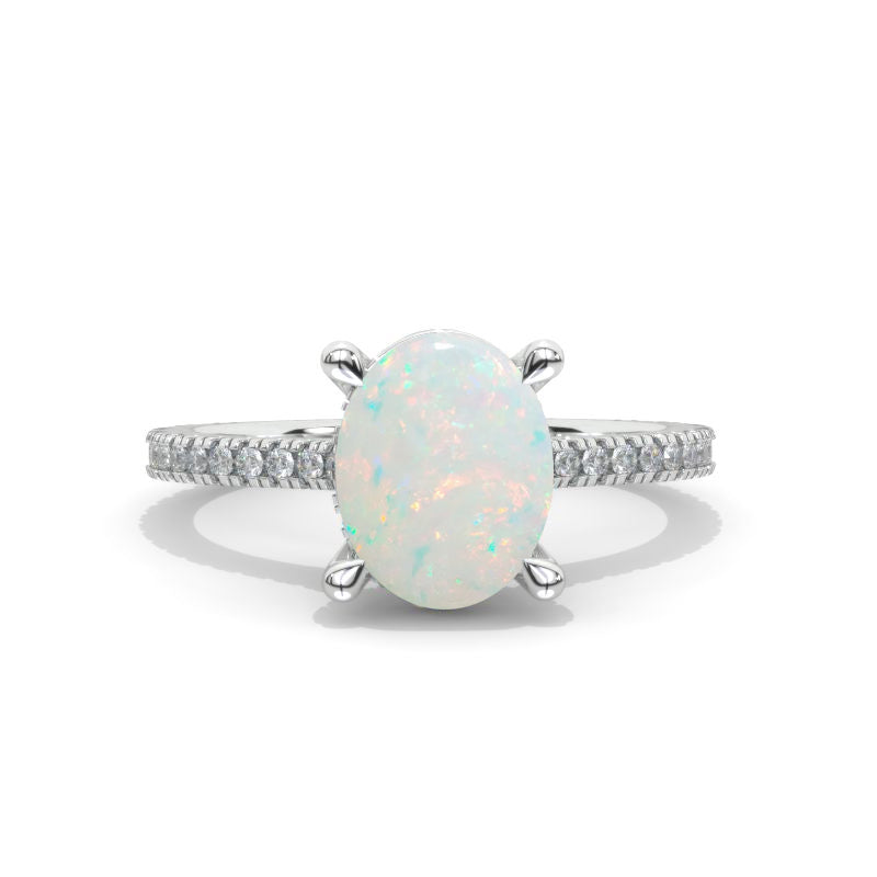 clio-https://clio.giliarto.com/ring/1/513