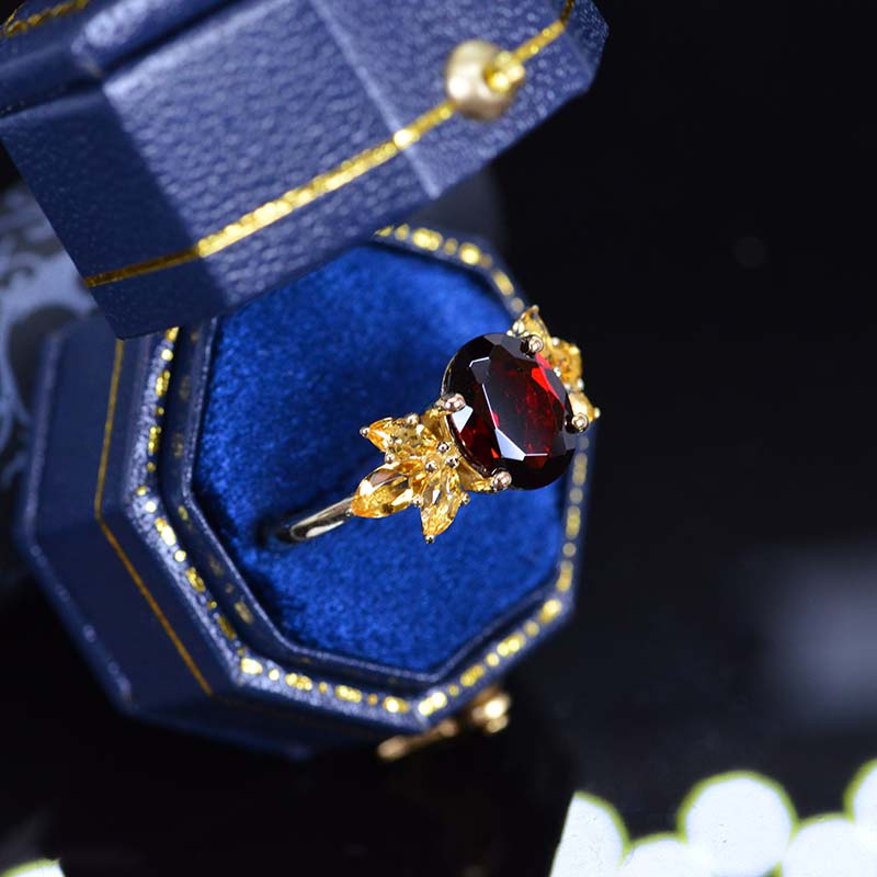 clio-https://clio.giliarto.com/ring/1/555